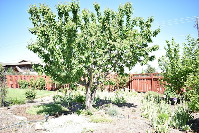 1406 Walnut, Sandpoint, ID 83864 - view of yard