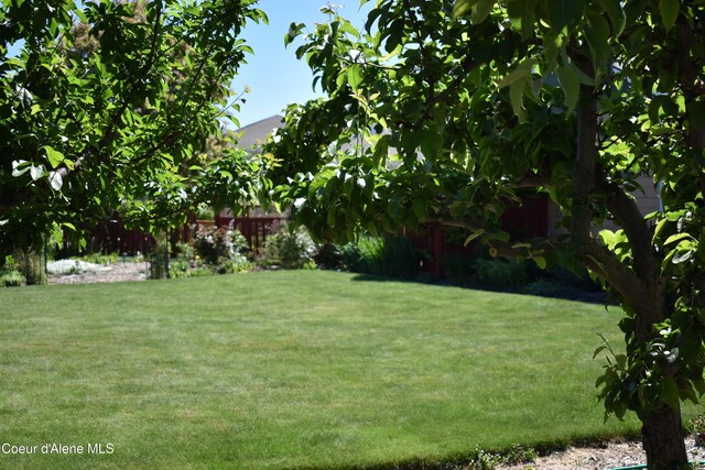 1406 Walnut, Sandpoint, ID 83864 - view of yard