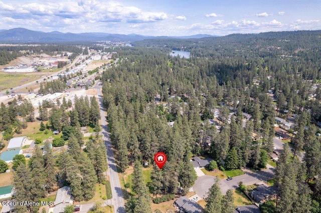 201 S Sequoia Ct, Post Falls, ID 83854 - aerial view of property's location with a forest and mountains
