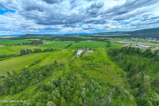 1995 Long Rd, Plummer, ID 83851 - view of rural area with a mountain backdrop