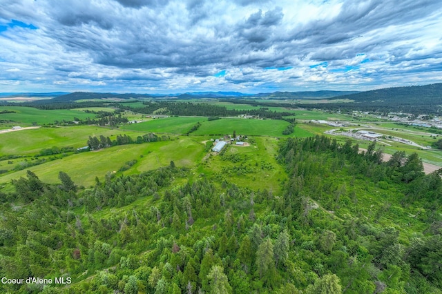 1995 Long Rd, Plummer, ID 83851 - drone / aerial view of a mountain backdrop