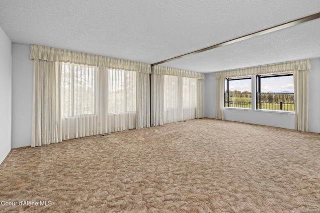 1995 Long Rd, Plummer, ID 83851 - spare room with carpet flooring and a textured ceiling
