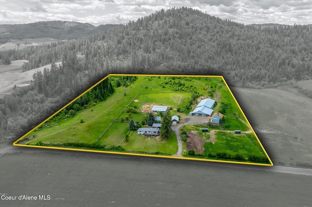 1995 Long Rd, Plummer, ID 83851 - aerial view of property's location with a forest, property parcel outlined, and mountains