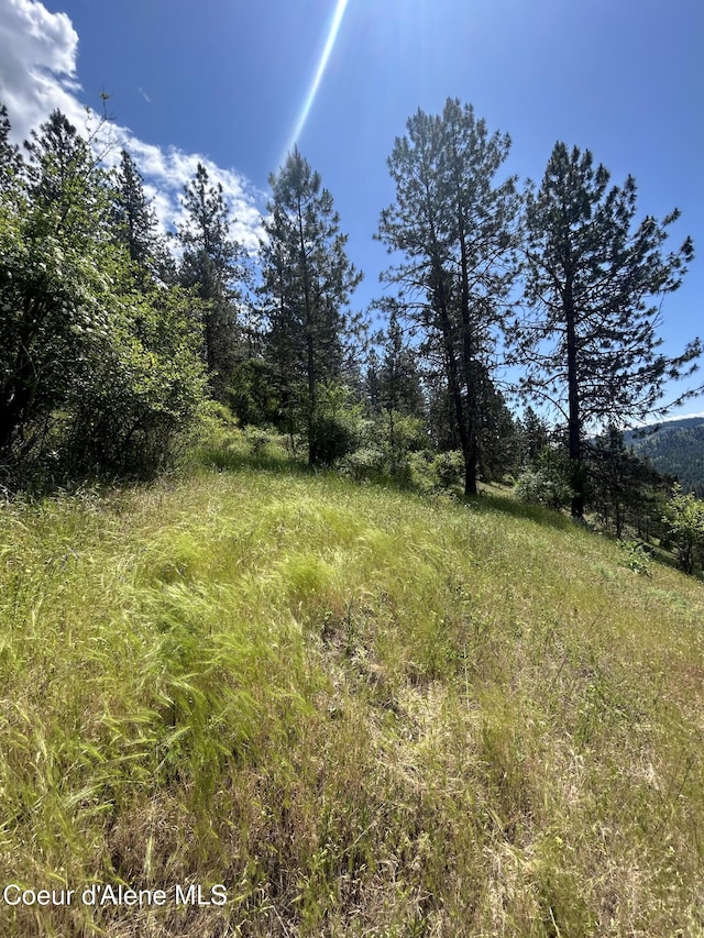 TBD Highway 12, Kooskia, ID 83539