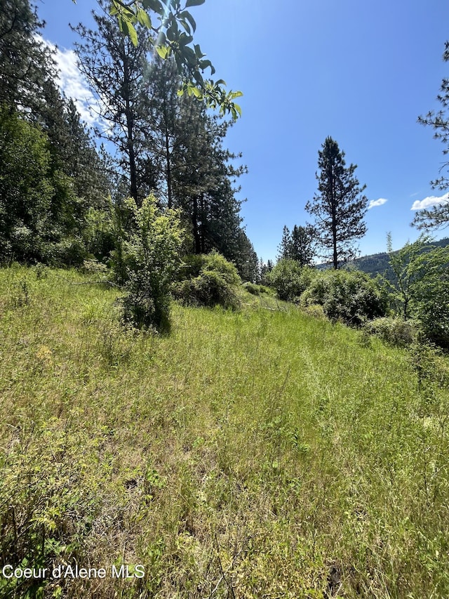TBD Highway 12, Kooskia, ID 83539