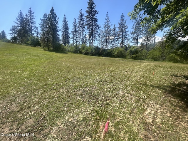 TBD Highway 12, Kooskia, ID 83539