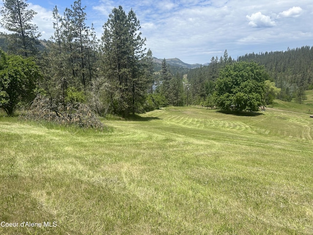 TBD Highway 12, Kooskia, ID 83539