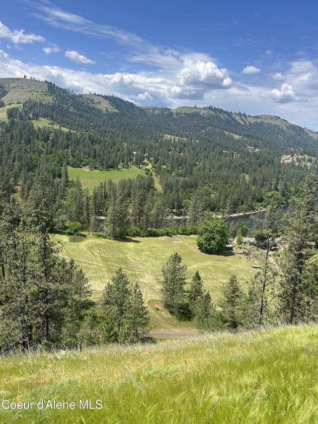 TBD Highway 12, Kooskia, ID 83539