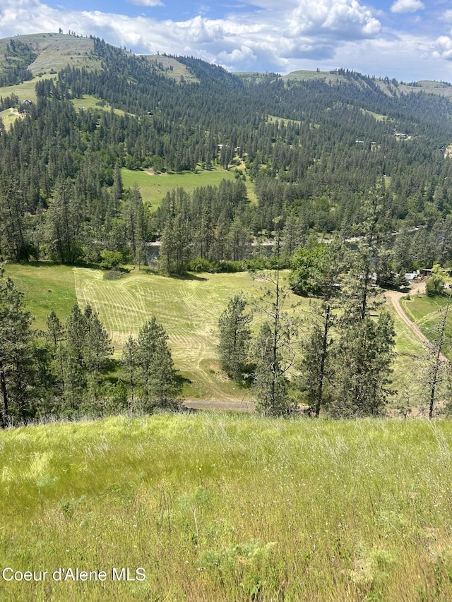 TBD Highway 12, Kooskia, ID 83539