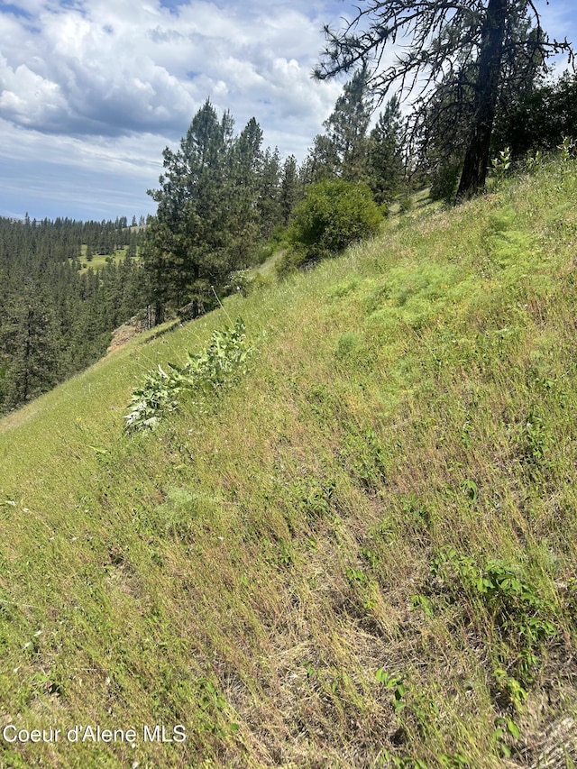 TBD Highway 12, Kooskia, ID 83539