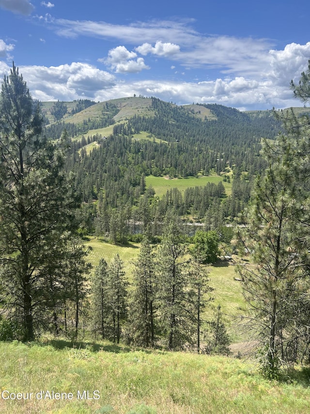 TBD Highway 12, Kooskia, ID 83539