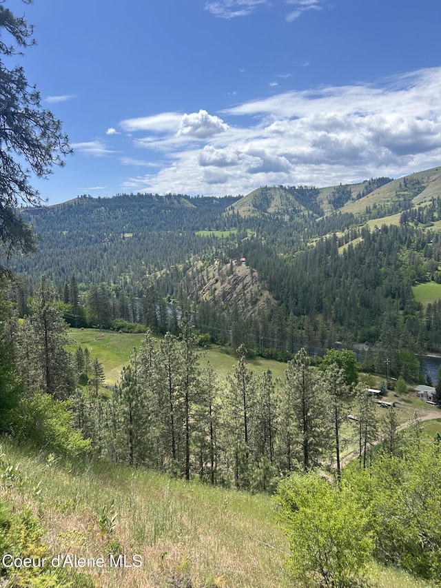 TBD Highway 12, Kooskia, ID 83539