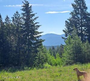 NKA Otter Ln, Bonners Ferry, ID 83805