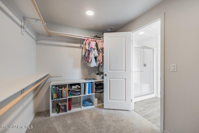 16171 N Hadley Loop, Rathdrum, ID 83858 - view of spacious closet