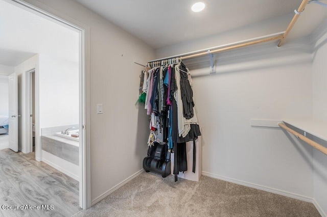16171 N Hadley Loop, Rathdrum, ID 83858 - view of spacious closet
