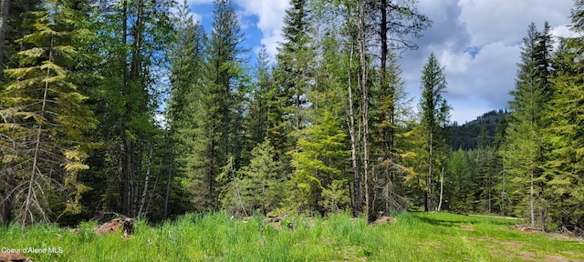 NNA Pup Paw Trail, Priest River, ID 83856