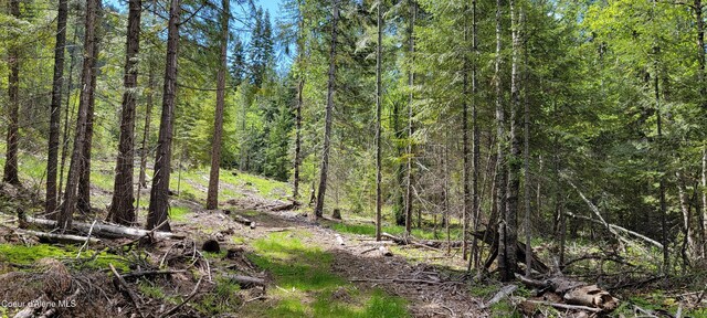 NNA Pup Paw Trail, Priest River, ID 83856