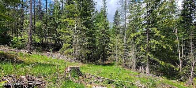 NNA Pup Paw Trail, Priest River, ID 83856