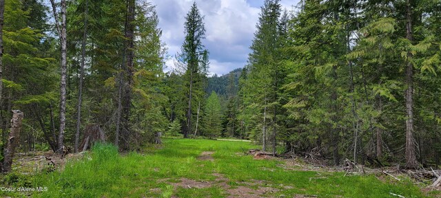 NNA Pup Paw Trail, Priest River, ID 83856