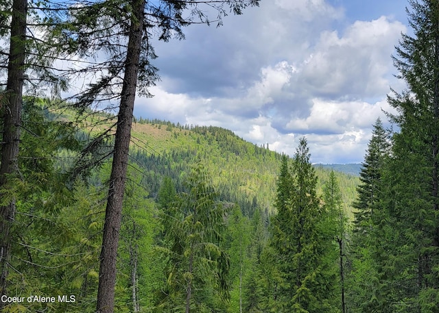NNA Pup Paw Trail, Priest River, ID 83856