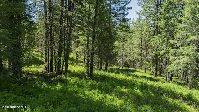 TBD Kreiger Creek Rd, Careywood, ID 83809