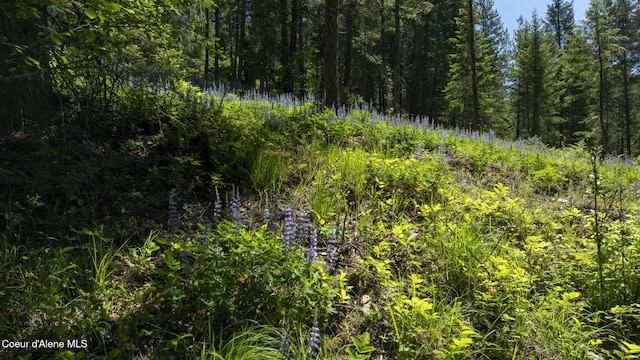 TBD Kreiger Creek Rd, Careywood, ID 83809