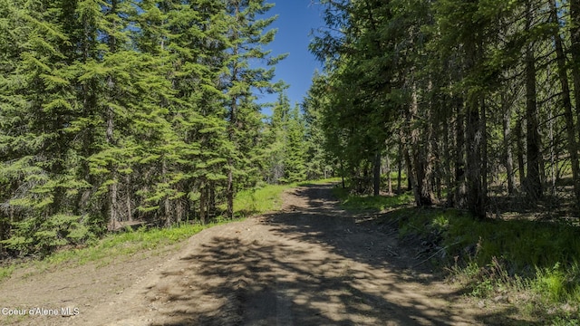 TBD Kreiger Creek Rd, Careywood, ID 83809