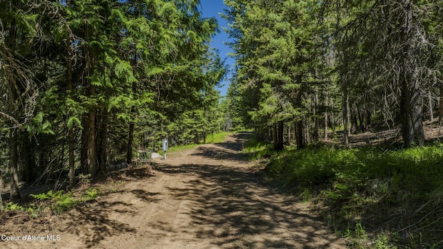 TBD Kreiger Creek Rd, Careywood, ID 83809