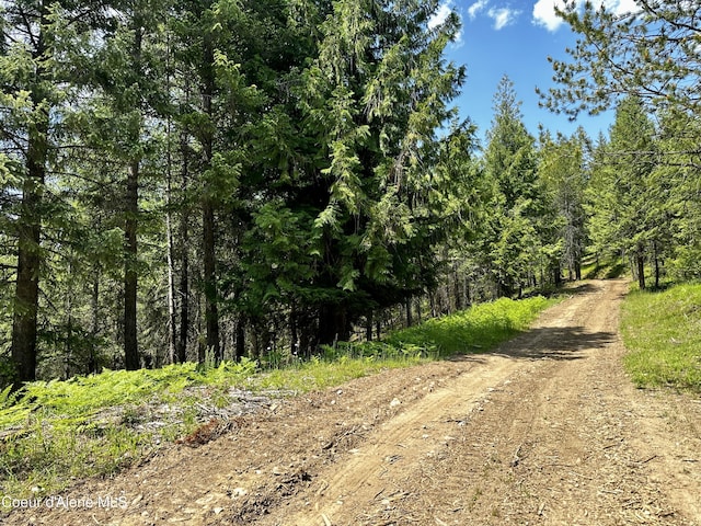 TBD Kreiger Creek Rd, Careywood, ID 83809