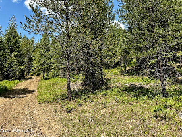 TBD Kreiger Creek Rd, Careywood, ID 83809