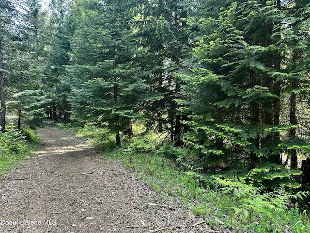 TBD Kreiger Creek Rd, Careywood, ID 83809