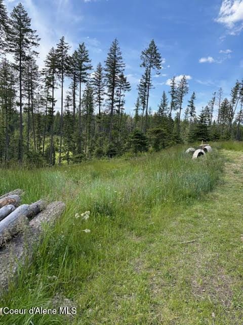 707 Patches Ln, Saint Maries, ID 83861 - view of tree filled area