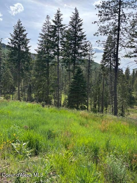 707 Patches Ln, Saint Maries, ID 83861 - view of tree filled area