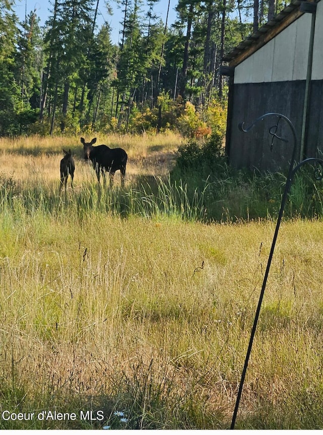 707 Patches Ln, Saint Maries, ID 83861 - view of undeveloped land