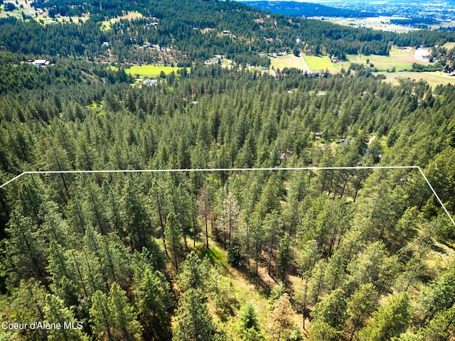 TBD W Chantilly Ln, Post Falls, ID 83854