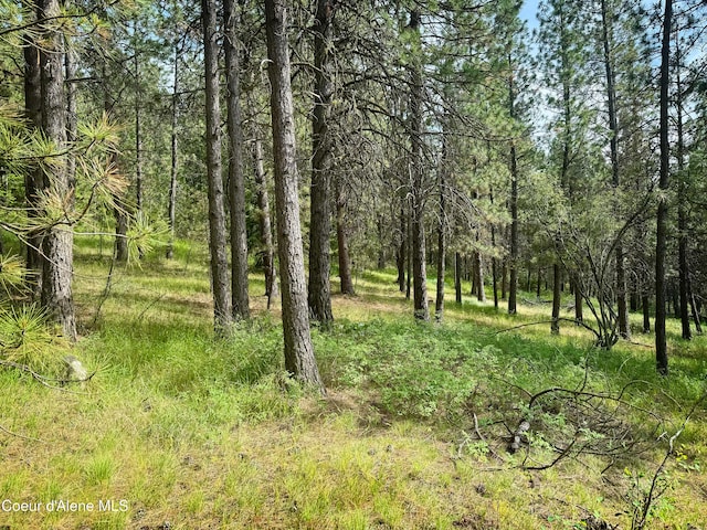 TBD W Chantilly Ln, Post Falls, ID 83854