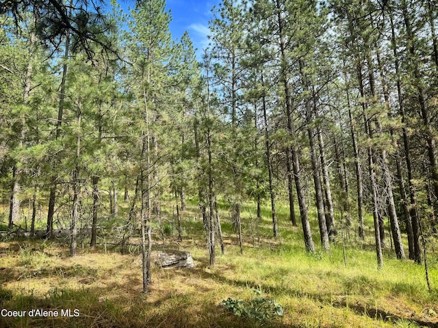 TBD W Chantilly Ln, Post Falls, ID 83854