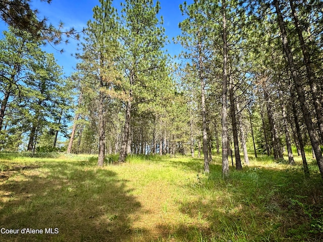 TBD W Chantilly Ln, Post Falls, ID 83854
