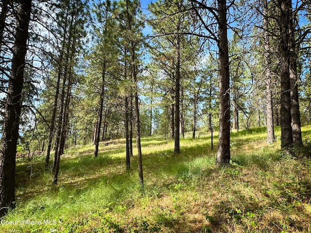 TBD W Chantilly Ln, Post Falls, ID 83854