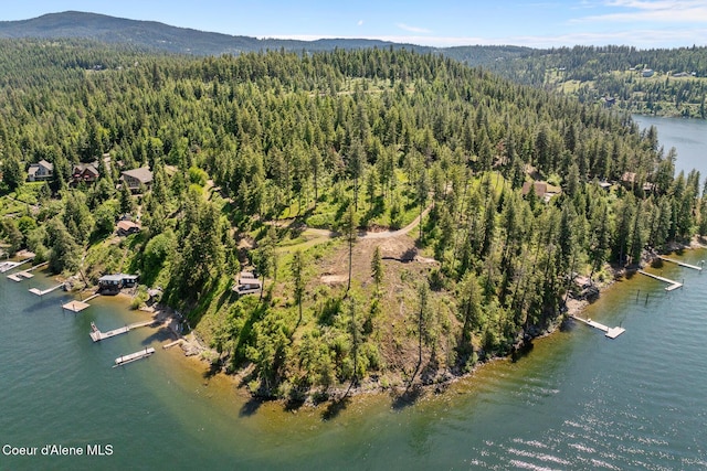 NKA E Chinook Dr, Harrison, ID 83833