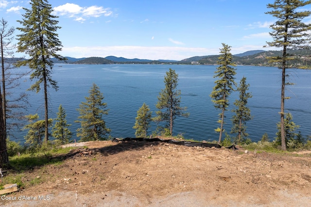 NKA E Chinook Dr, Harrison, ID 83833