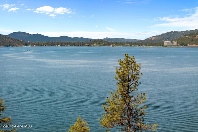 NKA E Chinook Dr, Harrison, ID 83833