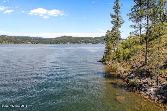 NKA E Chinook Dr, Harrison, ID 83833