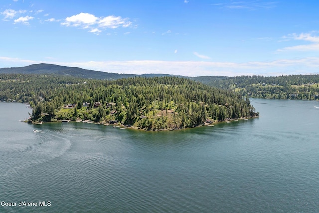 NKA E Chinook Dr, Harrison, ID 83833