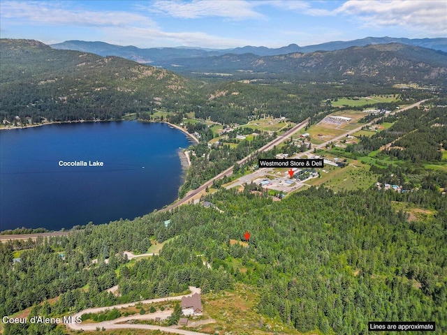 596 Overlake View Rd, Cocolalla, ID 83813 - aerial view of property and surrounding area with a forest and a water and mountain view