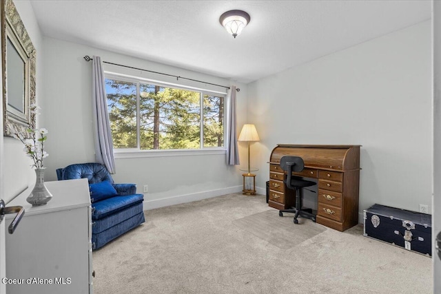 596 Overlake View Rd, Cocolalla, ID 83813 - home office featuring carpet and baseboards