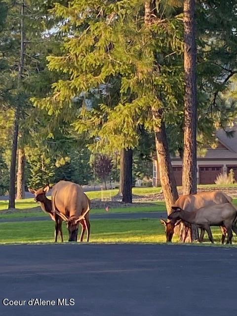 3857 E Beckon Ridge Rd, Coeur Dalene, ID 83814 - view of property's community with a lawn