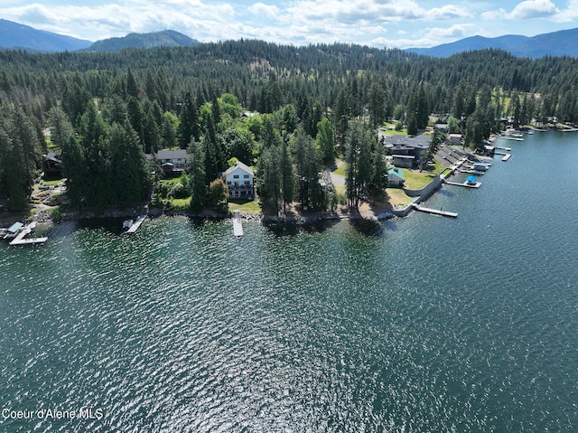 55 Sunray Dr, Hope, ID 83836 - photo 86