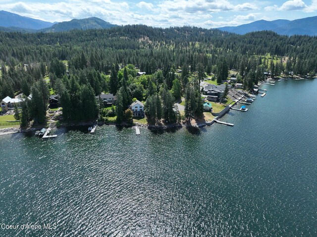 55 Sunray Dr, Hope, ID 83836 - photo 87