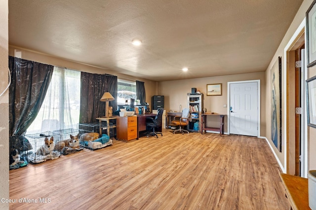 312 E 5th Ave, Clark Fork, ID 83811 - office featuring wood finished floors, a textured ceiling, and recessed lighting